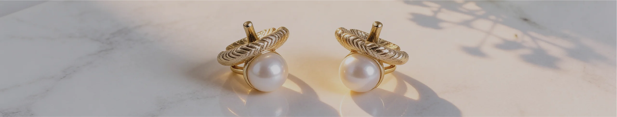 מחזיקי פנינה