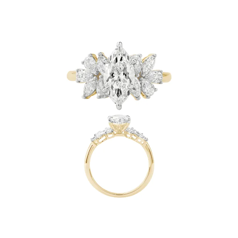 טבעת סוילטר